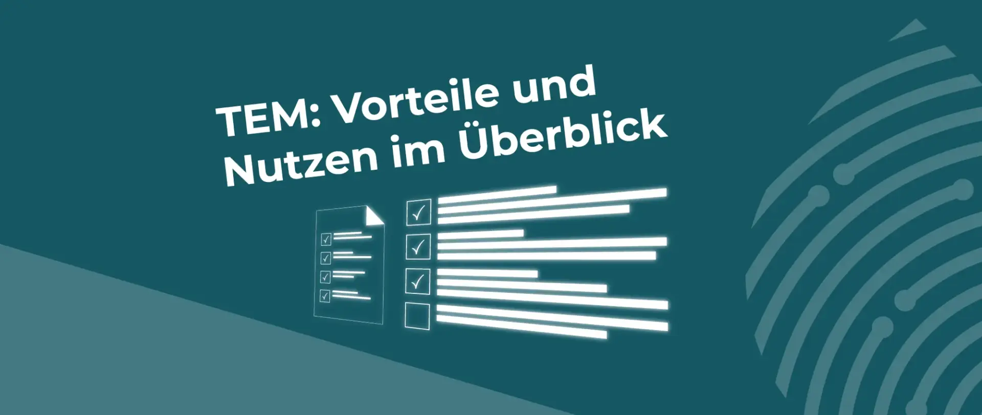 TEM: Vorteile und Nutzen im Überblick